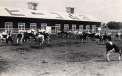 1937年　守山牧場開設