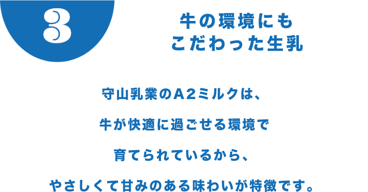 牛の環境にもこだわった生乳 守山乳業のA2ミルクは、牛が快適に過ごせる環境で育てられているから、やさしくて甘みのある味わいが特徴です。