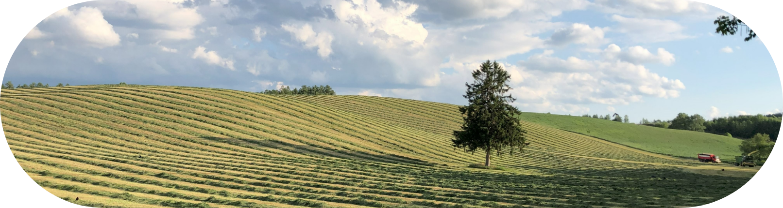 牧場のイメージ